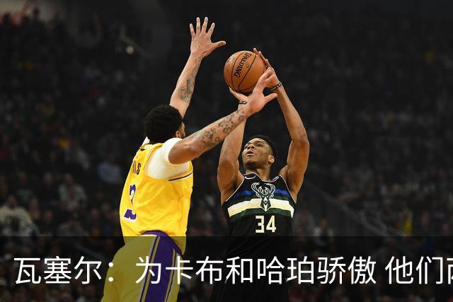 瓦塞尔：为卡布和哈珀骄傲 他们两个都有着不可限量的未来